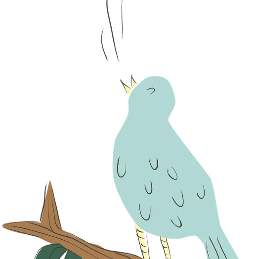 cropped-cslogo.jpg